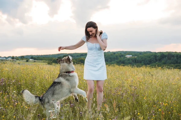 Sibirya Köpeğiyle Tarlada Neşeli Genç Bir Kadın — Stok fotoğraf