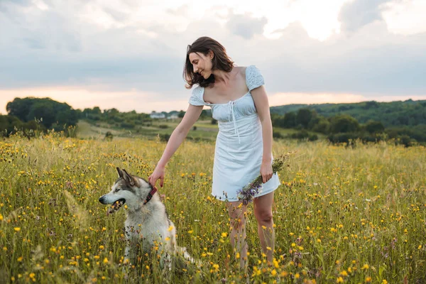 Junge Fröhliche Frau Feld Mit Sibirischem Husky Hund — Stockfoto