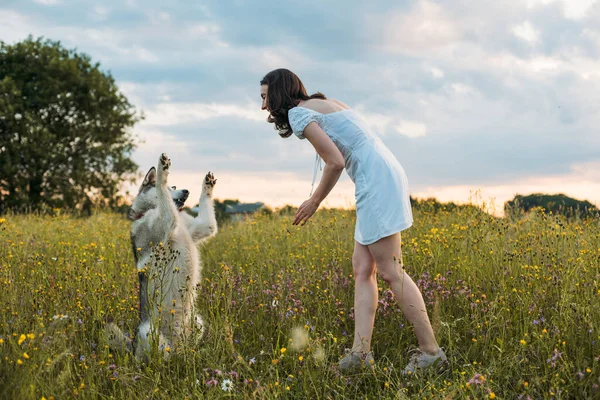 young cheerful woman in field with siberian husky dog