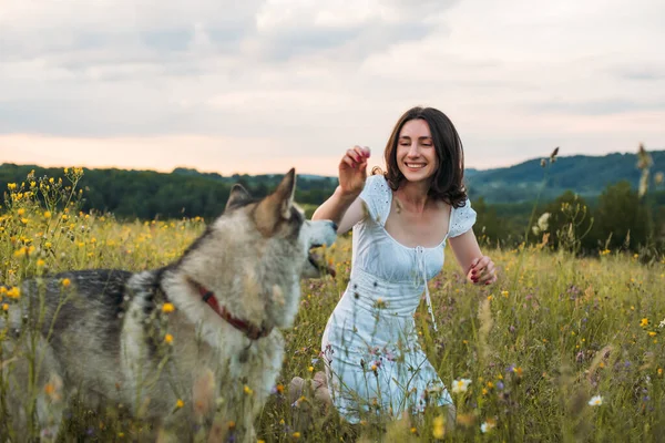 young cheerful woman in field with siberian husky dog