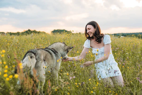 Junge Fröhliche Frau Feld Mit Sibirischem Husky Hund — Stockfoto