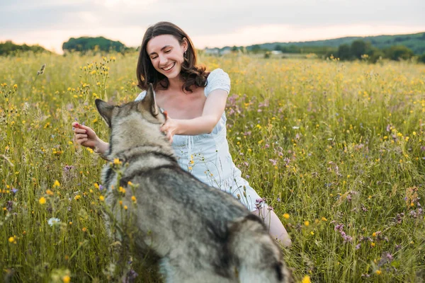 young cheerful woman in field with siberian husky dog