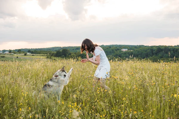 young cheerful woman in field with siberian husky dog