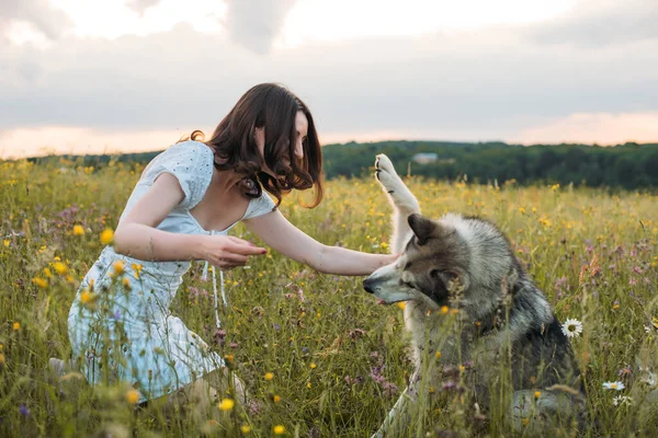 Jonge Vrolijke Vrouw Het Veld Met Siberische Husky Hond — Stockfoto