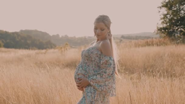 Slow Motion Portrait Beautiful Happy Pregnant Woman Countryside Sunset — Video