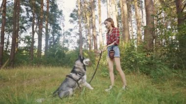 4k slow motion shot of teenage girl playing and having fun with her siberian husky dog. Girl with dog in the forest