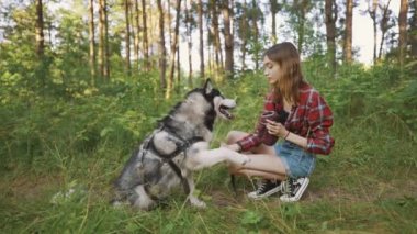 4k slow motion shot of teenage girl playing and having fun with her siberian husky dog. Girl with dog in the forest