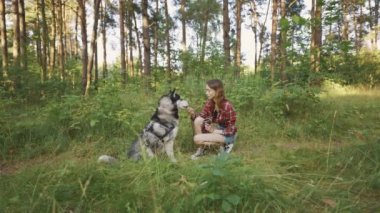 4k slow motion shot of teenage girl playing and having fun with her siberian husky dog. Girl with dog in the forest
