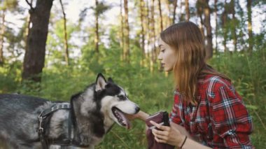 4k slow motion shot of teenage girl playing and having fun with her siberian husky dog. Girl with dog in the forest