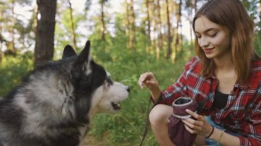 4k slow motion shot of teenage girl playing and having fun with her siberian husky dog. Girl with dog in the forest