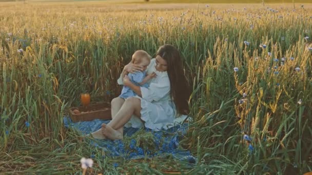 Slow Motion Shot Mother Daughter Having Picnic Outdoors Field Playing — Stock Video