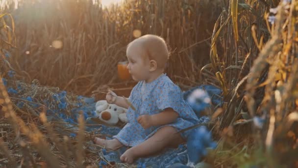Portrait Happy Cute Little Girl Picnic Blanket Outdoors — Stock video