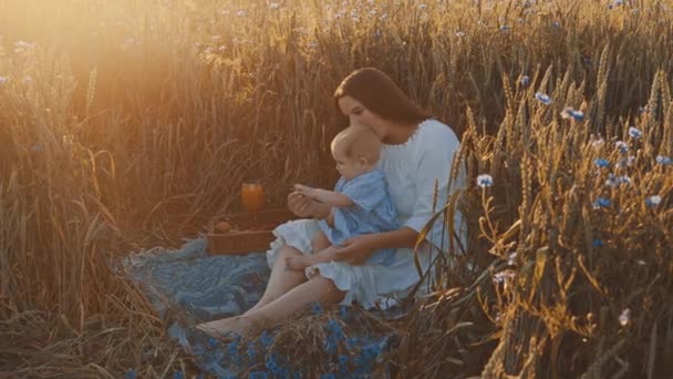 Slow Motion Shot Mother Daughter Having Picnic Outdoors Field Playing — Stock Video
