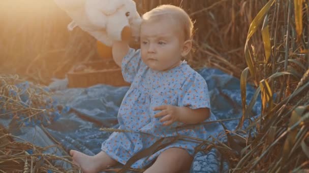 Portrait Happy Cute Little Girl Picnic Blanket Outdoors — Stock Video