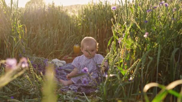 Portrait Happy Cute Little Girl Picnic Blanket Outdoors — Stok Video