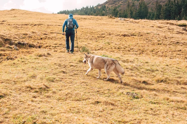 Homem Com Cão Husky Siberiano Andando Nas Montanhas — Fotografia de Stock