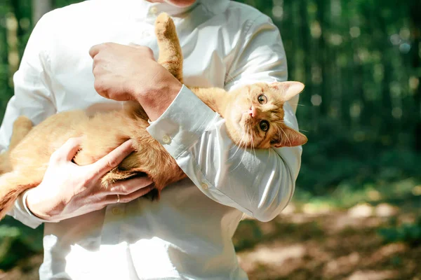Genç Yakışıklı Adam Ormanda Sevimli Bir Kedi Tutuyor - Stok İmaj