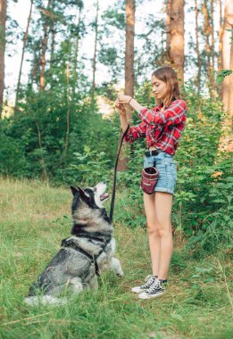 Genç kız Sibirya köpeğiyle oynuyor ve eğleniyor. Ormanda köpekli bir kız