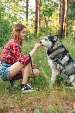 Genç kız Sibirya köpeğiyle oynuyor ve eğleniyor. Ormanda köpekli bir kız