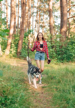 Genç kız Sibirya köpeğiyle oynuyor ve eğleniyor. Ormanda köpekli bir kız