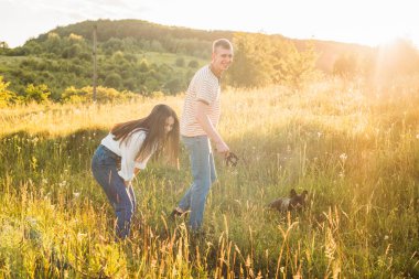Genç mutlu çift, güzel günbatımında kırsal alanda buldoglarıyla eğleniyor.