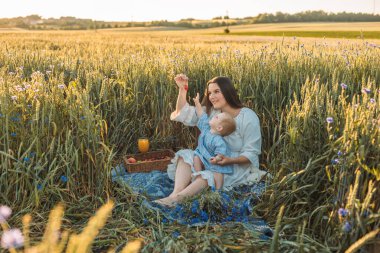 Anne ve kızının dışarıda piknik yaparken çekilmiş yatay bir fotoğrafı. Küçük bebekle oynamak ve eğlenmek. Mutlu aile kavramı