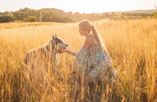 Портрет Красивой Счастливой Беременной Женщины Собакой Сельской Местности Закате — стоковое фото