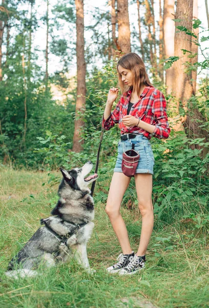 Teenagermädchen Spielt Und Spaß Mit Ihrem Sibirischen Husky Hund Hat — Stockfoto