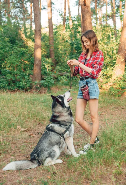 Έφηβη Που Παίζει Και Διασκεδάζει Τον Σιβηρικό Της Σκύλο Κορίτσι — Φωτογραφία Αρχείου