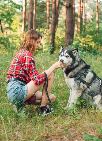 Девочка Подросток Играет Веселится Своей Сибирской Собакой Хаски Девушка Собакой — стоковое фото