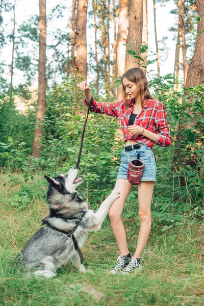 Nastolatka Gra Bawi Się Jej Syberyjski Husky Pies Dziewczyna Psem — Zdjęcie stockowe