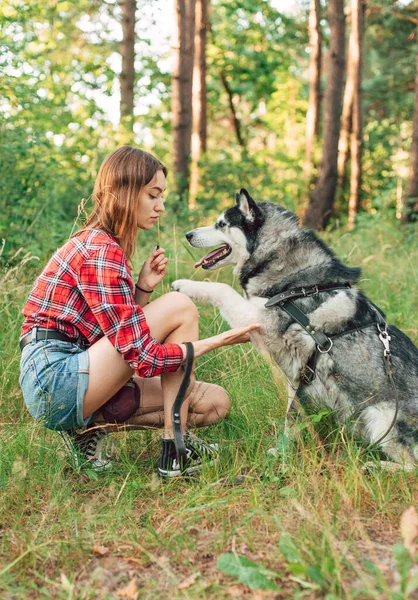 Teenagermädchen Spielt Und Spaß Mit Ihrem Sibirischen Husky Hund Hat — Stockfoto