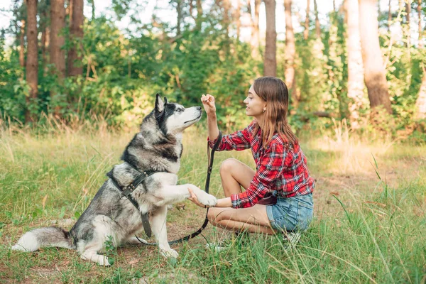 Tinédzser Lány Játszik Szórakozik Szibériai Husky Kutyájával Lány Kutyával Erdőben — Stock Fotó