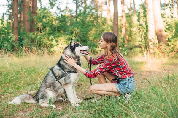 Nastolatka Gra Bawi Się Jej Syberyjski Husky Pies Dziewczyna Psem — Zdjęcie stockowe