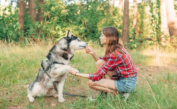 Teenagermädchen Spielt Und Spaß Mit Ihrem Sibirischen Husky Hund Hat — Stockfoto