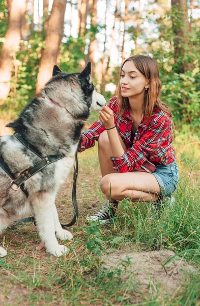 Nastolatka Gra Bawi Się Jej Syberyjski Husky Pies Dziewczyna Psem — Zdjęcie stockowe