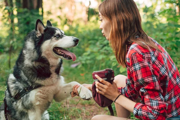 Teenagermädchen Spielt Und Spaß Mit Ihrem Sibirischen Husky Hund Hat — Stockfoto