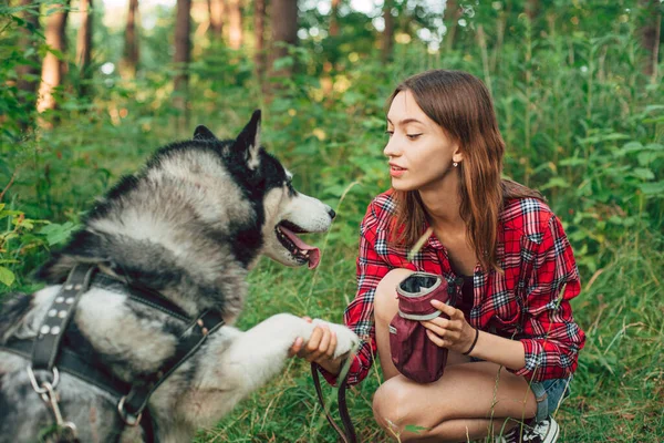 Έφηβη Που Παίζει Και Διασκεδάζει Τον Σιβηρικό Της Σκύλο Κορίτσι — Φωτογραφία Αρχείου