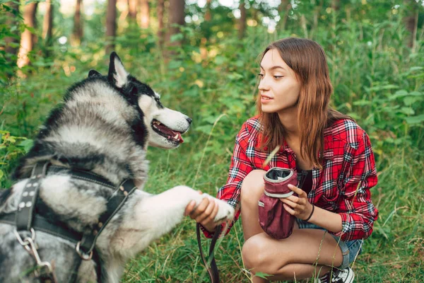 Teenagermädchen Spielt Und Spaß Mit Ihrem Sibirischen Husky Hund Hat — Stockfoto