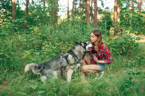 Adolescente Jugando Divirtiéndose Con Perro Husky Siberiano Chica Con Perro — Foto de Stock