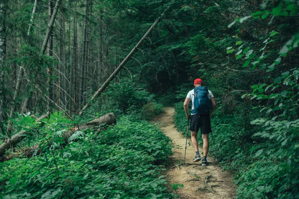 Caminhante Homem Caminhando Floresta Montanha Verde — Fotografia de Stock