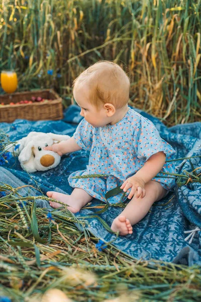 Portrait Happy Cute Little Girl Picnic Blanket Outdoors — Stockfoto