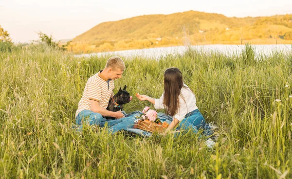 Genç Mutlu Çift Güzel Günbatımında Kırsal Alanda Fransız Buldoglarıyla Piknik Telifsiz Stok Imajlar