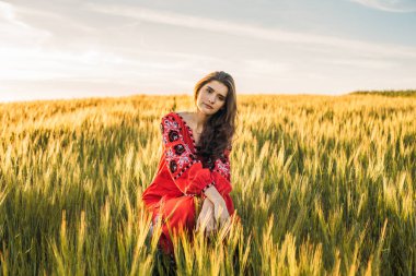 Gün batımında buğday tarlasında geleneksel işlemeli Ukrayna elbisesi giyen genç ve güzel bir kadın. Ukrayna 'nın yanında dur