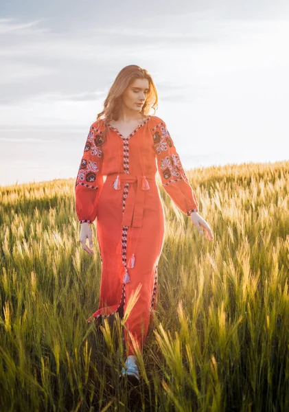 Joven Hermosa Mujer Con Vestido Bordado Tradicional Ucraniano Campo Trigo —  Fotos de Stock