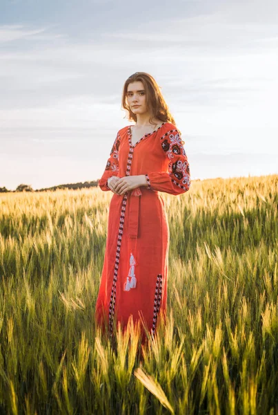 Junge Schöne Frau Trägt Ukrainische Traditionelle Bestickte Kleidung Weizenfeld Während — Stockfoto