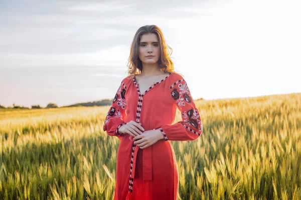 Joven Hermosa Mujer Con Vestido Bordado Tradicional Ucraniano Campo Trigo — Foto de Stock