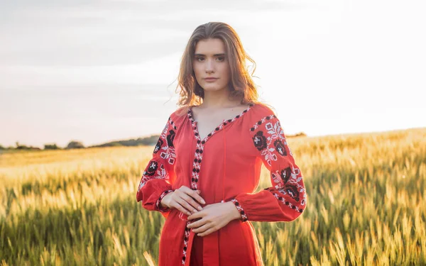 Joven Hermosa Mujer Con Vestido Bordado Tradicional Ucraniano Campo Trigo — Foto de Stock