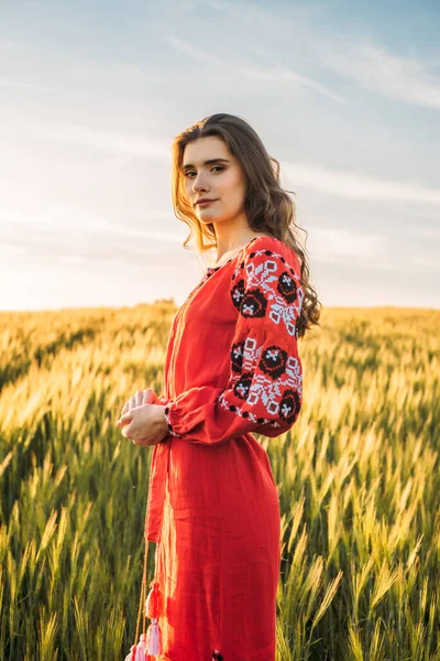 Joven Hermosa Mujer Con Vestido Bordado Tradicional Ucraniano Campo Trigo —  Fotos de Stock