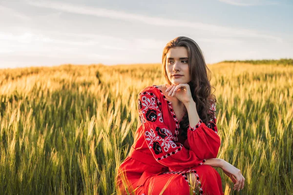 Joven Hermosa Mujer Con Vestido Bordado Tradicional Ucraniano Campo Trigo —  Fotos de Stock